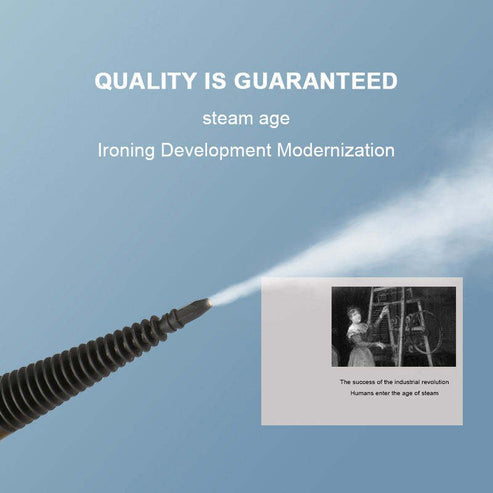 DF - Steam Cleaner (DF-A001)