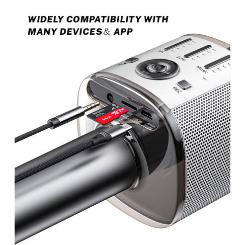 Karaoke Microphone With Speaker